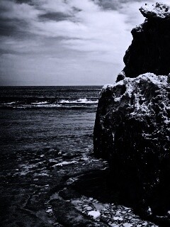 Коралловый риф обои