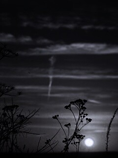 Степной закат обои