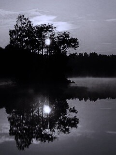 Туманное утро обои