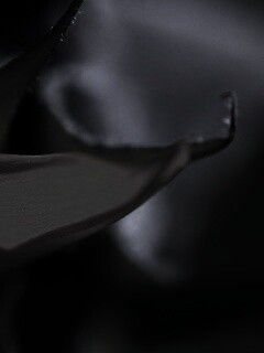 Солнечный цветок обои