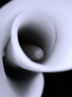 Спираль обои