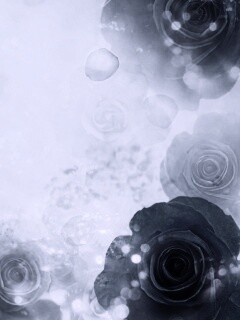 Синие розы обои