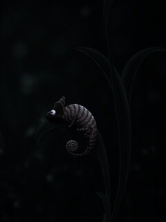 Хамелеон замаскированный под улитку обои