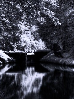 Замёрзжий канал обои