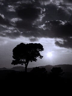 Закат над холмами обои