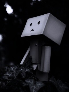 Danbo смотрит вверх обои