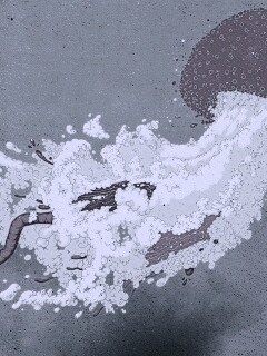 Розовая медуза обои