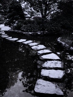 Дорожка через пруд обои