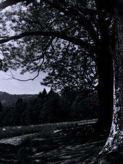 Лето в деревне обои