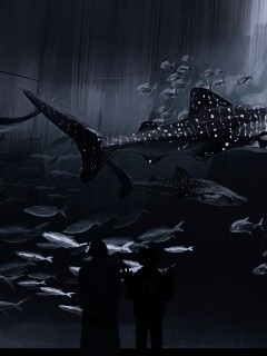 Двое в океанариуме обои