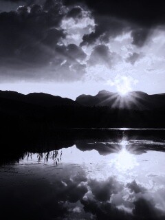 Закат за лесом обои