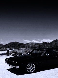 Мускулкар под палящим солнцем обои