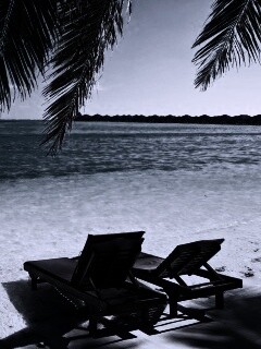 Шезлонги у самой воды обои