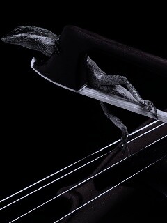 Ящерка на виолончели обои