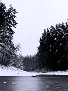 Зимняя дорога обои