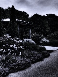 Ландшафтный дизайн обои