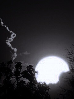 Планер обои