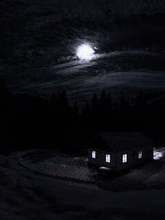 Один в зимнем лесу обои