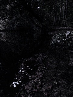 Пейзаж обои