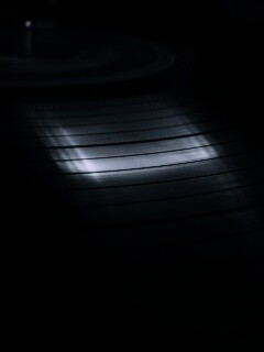 Пластинка обои