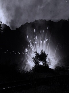 Взрыв в кустах обои