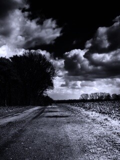 Дорога через поле обои