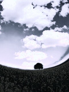 Искаженный мир обои