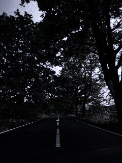 Прямая дорога обои