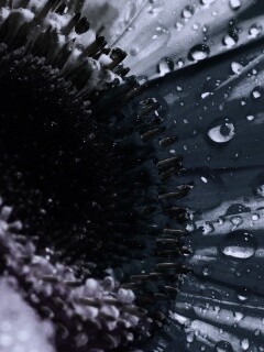 Цветик семицветик обои