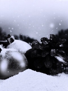 Новогодний натюрморт обои