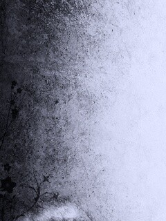 Фон с красивым черным узором обои