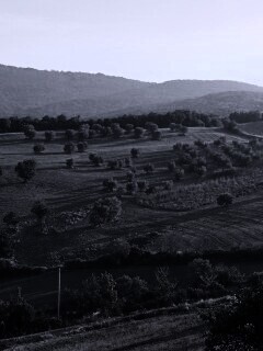 Ферма в долине обои