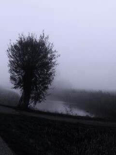 Дорога растворяется в тумане обои