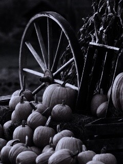 Урожай обои