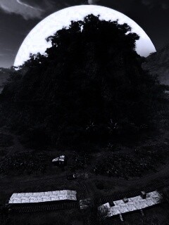 Железная дорога в тропиках из Crysis обои