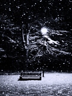 Ночь..улица..фонарь..скамейка.. обои