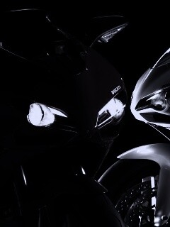 Красавцы  обои