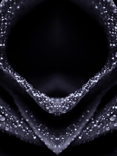 Цветочный зев обои