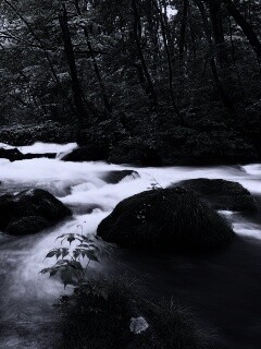 Лесная река обои