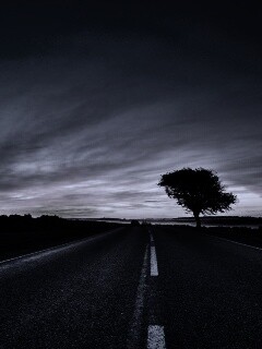 Дорога обои