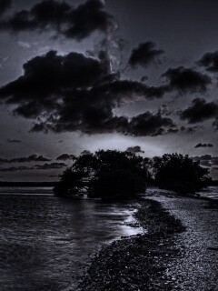 Побережье на закате обои