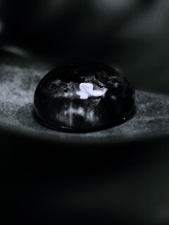 Целый мир в капле воды обои