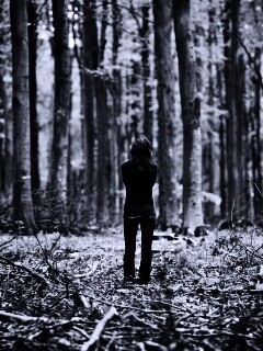 Одна в лесу обои