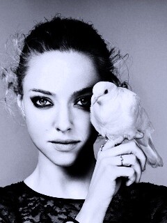 Девушка и попугай обои