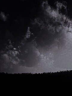 Закат над лесом обои