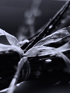 Букет вербы обои