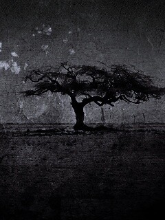 Гранжевое дерево в саванне обои