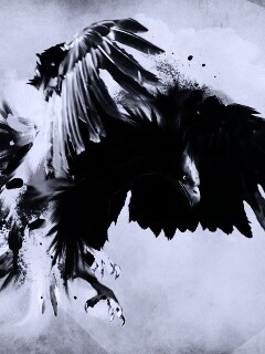 Скетч с орлом обои