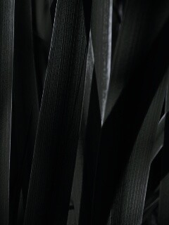 Стебли травы обои