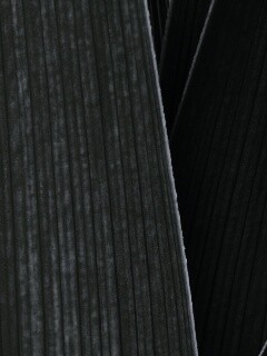 Стебли обои